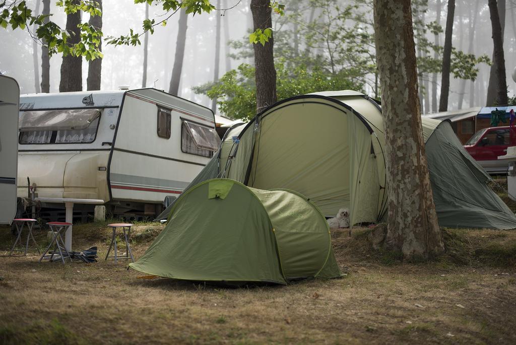 فندق سانكسينكسوفي  Camping Cachadelos المظهر الخارجي الصورة